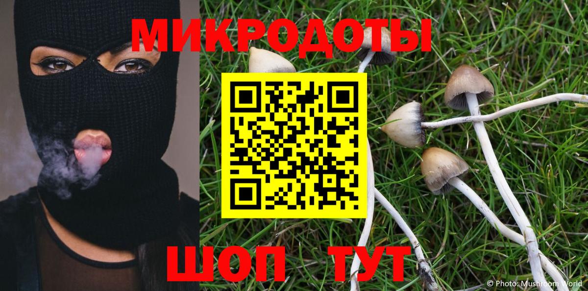 Галлюциногенные грибы Psilocybe  Вход с VPN  Воронеж 